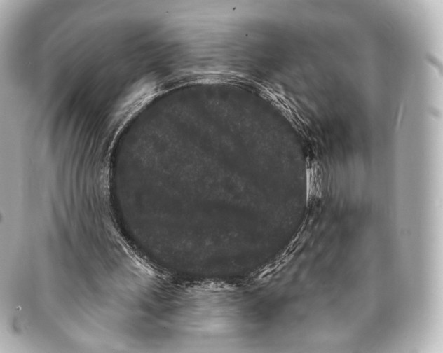 X0000094960243200712201206