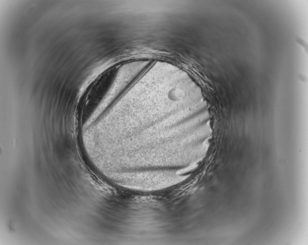 X0000094960244200712201206