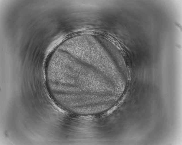 X0000094960245200712201206