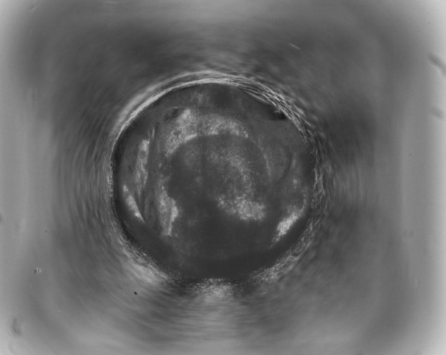 X0000094960247200712201206