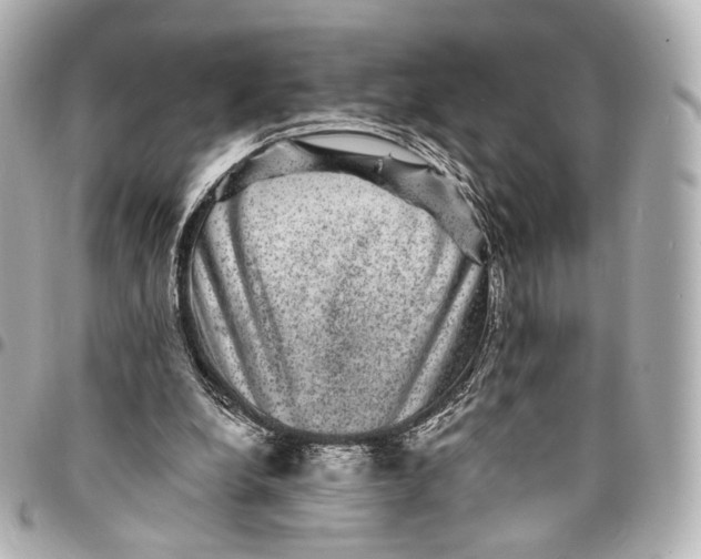 X0000094960248200712201206