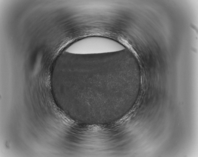 X0000094960249200712201206