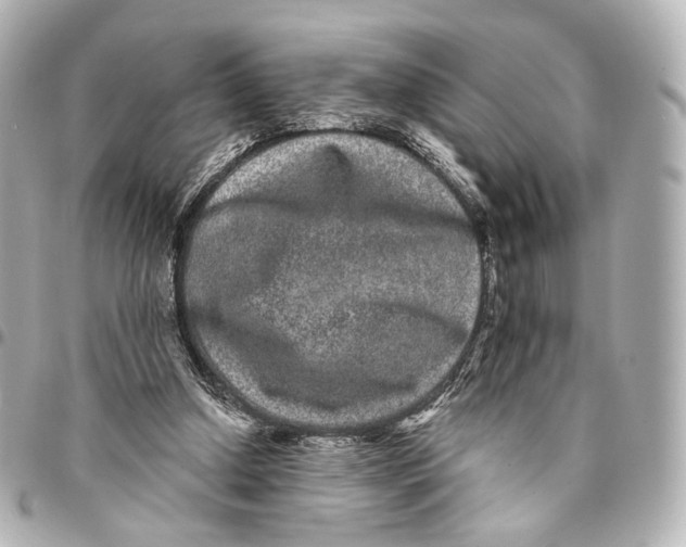 X0000094960250200712201206