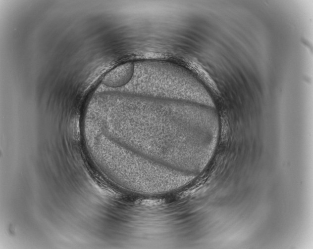 X0000094960251200712201206