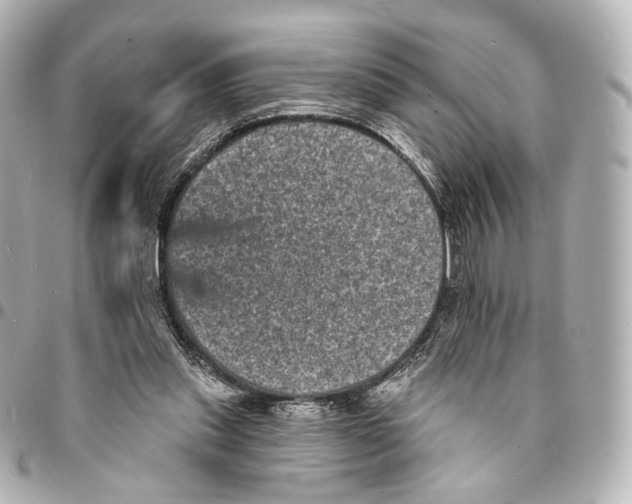 X0000094960253200712201207