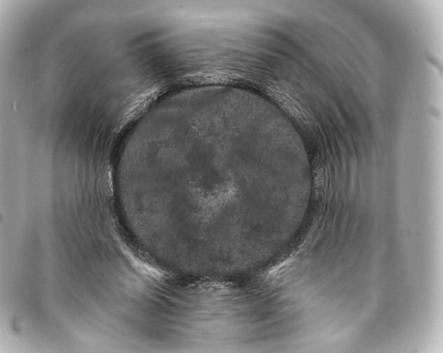 X0000094960254200712201207