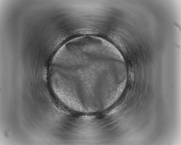 X0000094960255200712201207