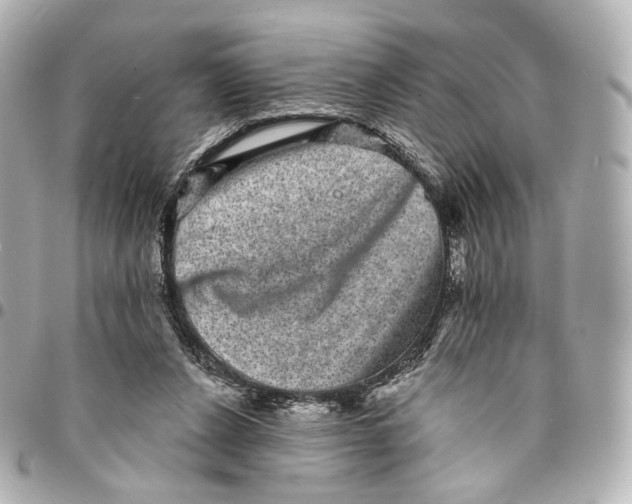 X0000094960256200712201207