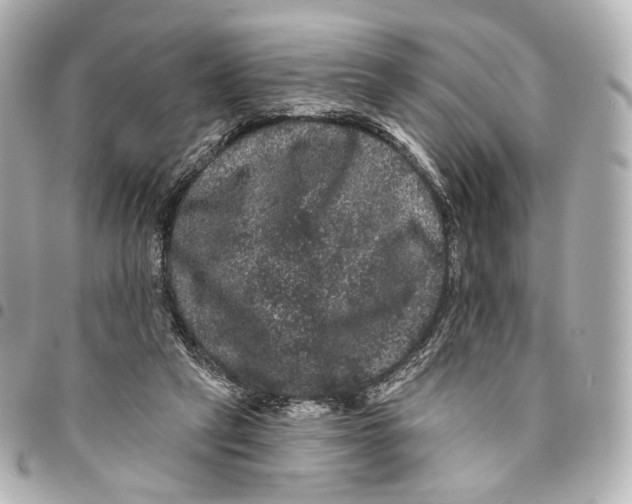 X0000094960257200712201207