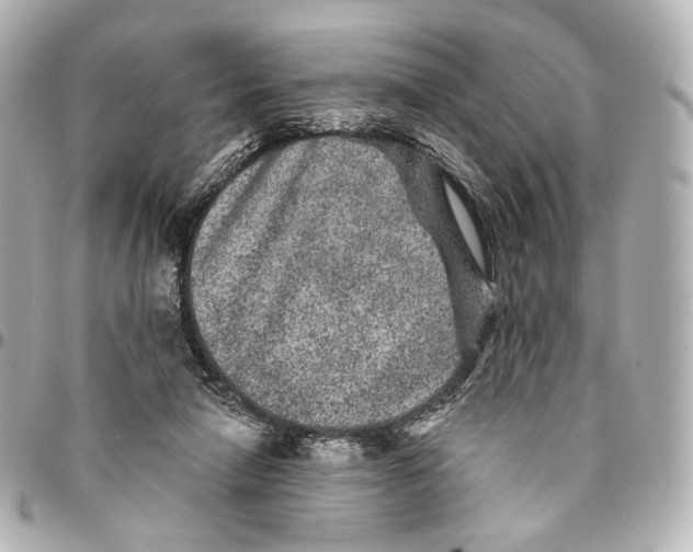 X0000094960258200712201207