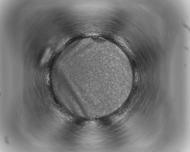 X0000094960259200712201207