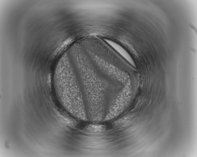 X0000094960260200712201207