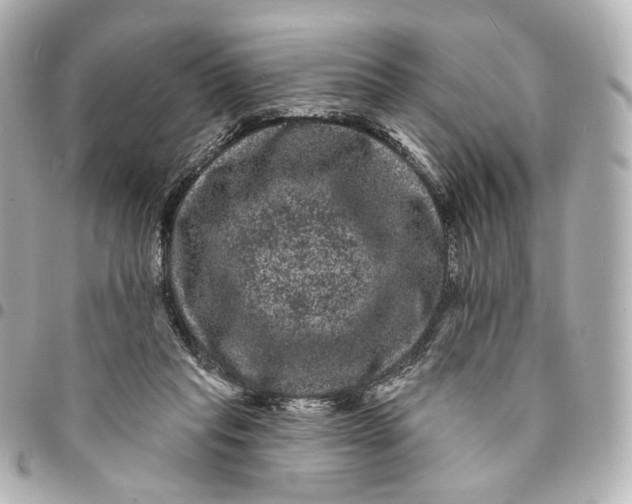 X0000094960261200712201207