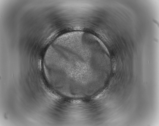 X0000094960262200712201207