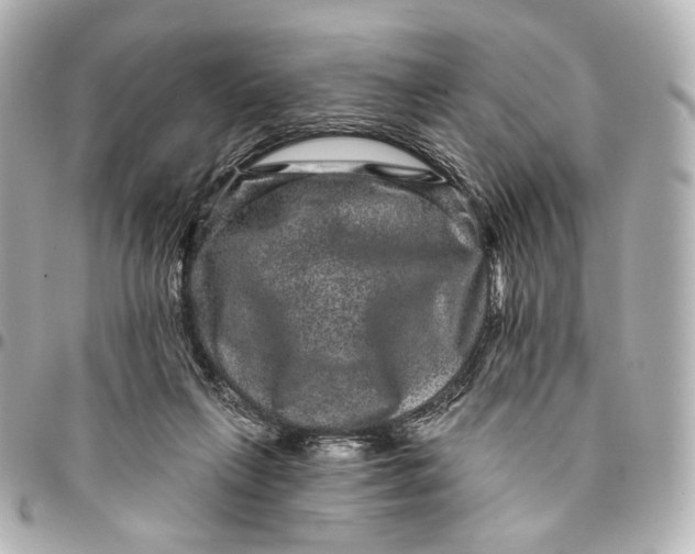 X0000094960263200712201207