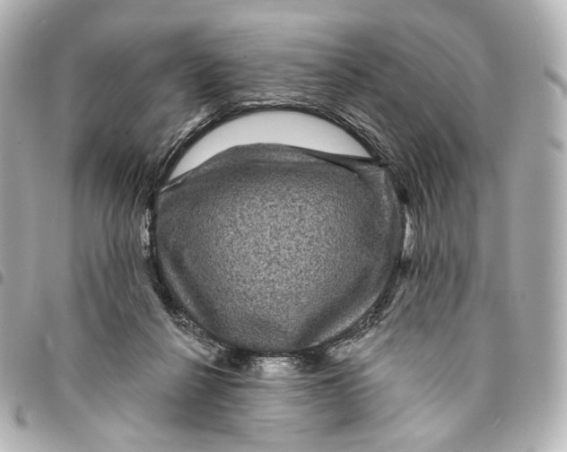 X0000094960264200712201207