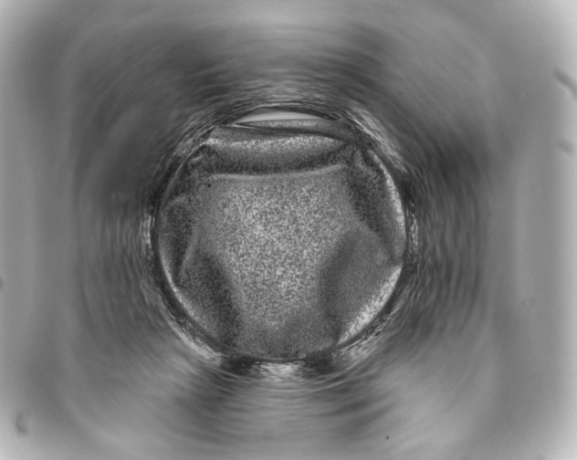 X0000094960265200712201207