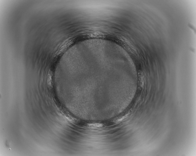 X0000094960266200712201207