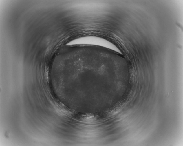 X0000094960267200712201207