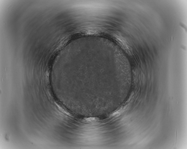 X0000094960269200712201207