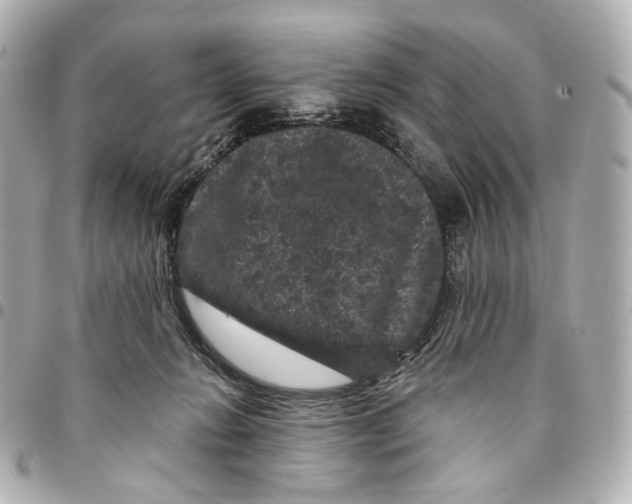 X0000094960270200712201207