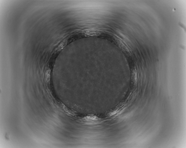 X0000094960271200712201207