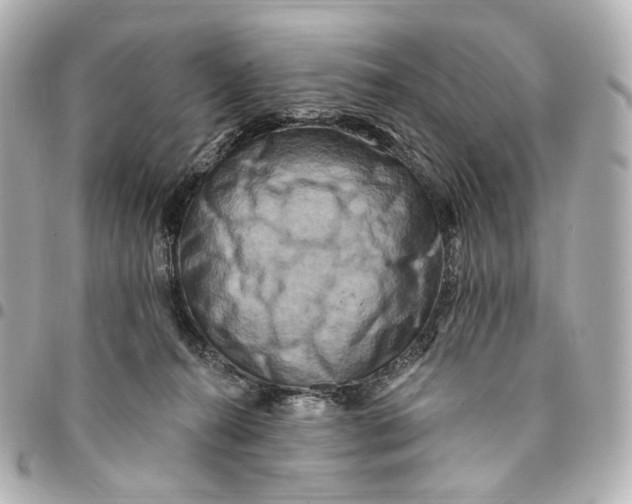 X0000094960272200712201207