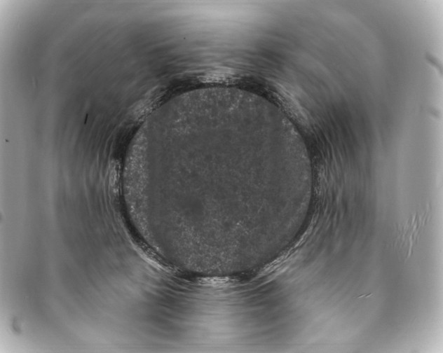 X0000094960273200712201207