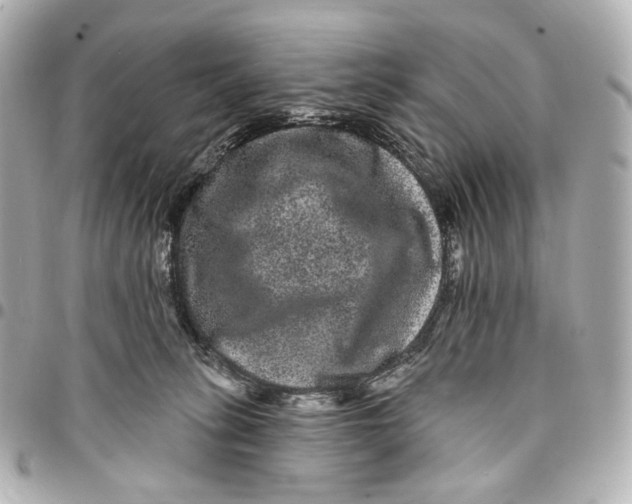 X0000094960275200712201207