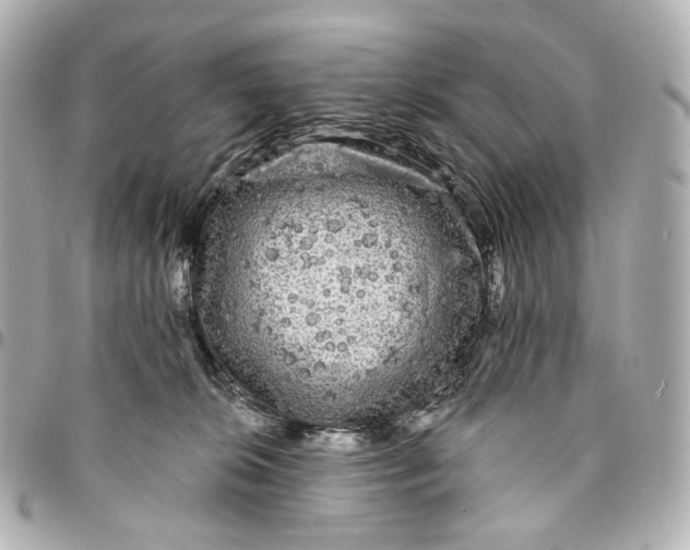 X0000094960276200712201207