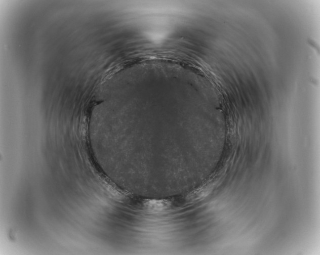 X0000094960277200712201207