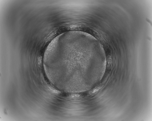 X0000094960278200712201207