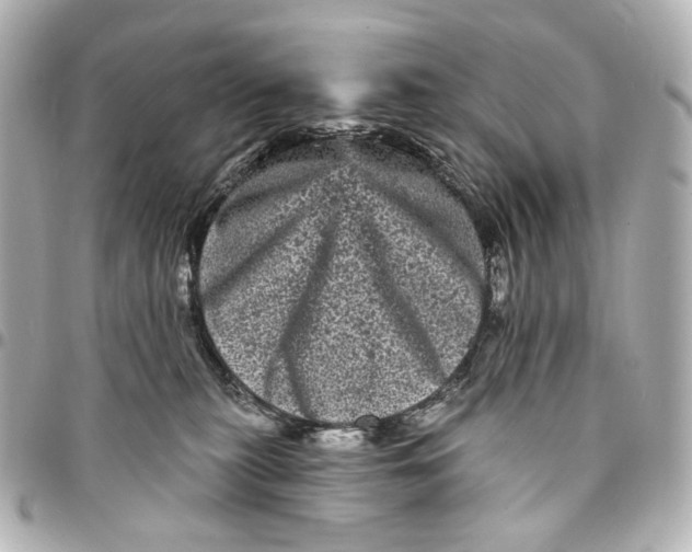 X0000094960279200712201207