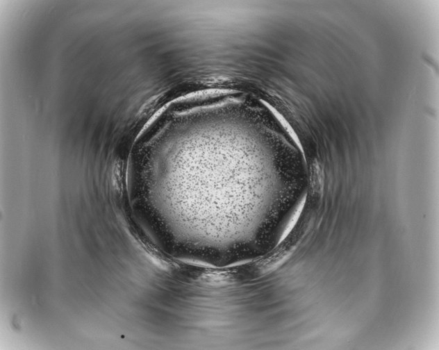 X0000094960280200712201207