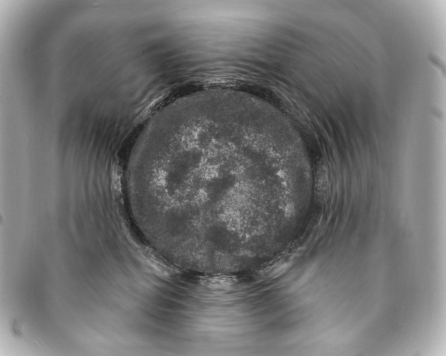 X0000094960282200712201207