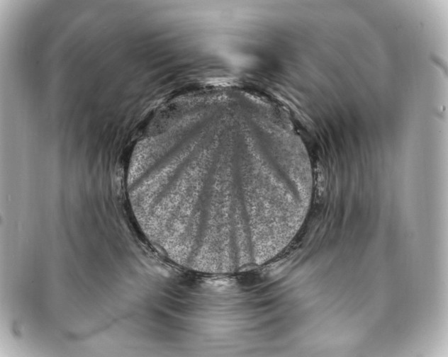 X0000094960283200712201207