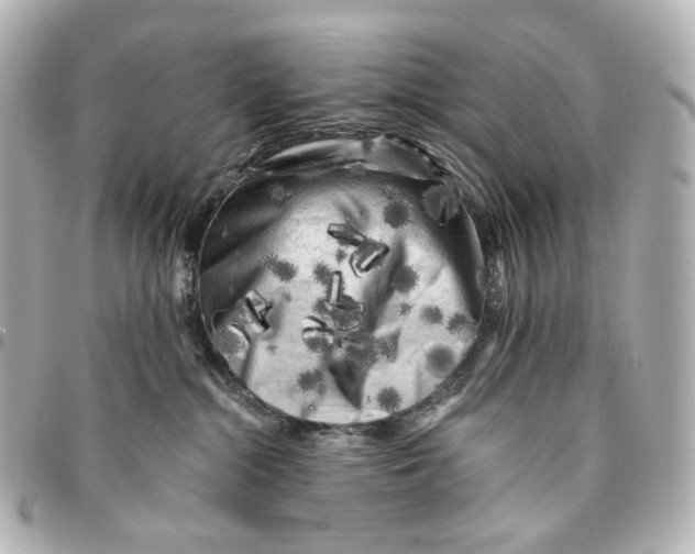 X0000094960284200712201207