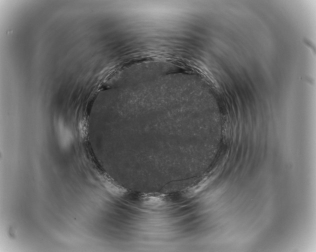 X0000094960285200712201207