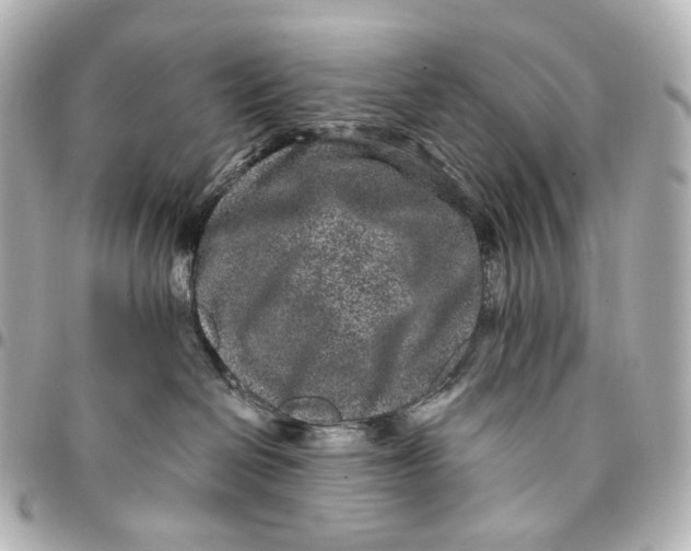 X0000094960286200712201207