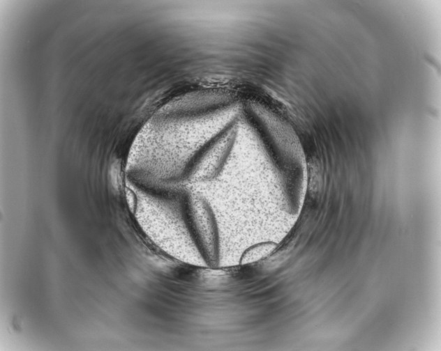 X0000094960287200712201207