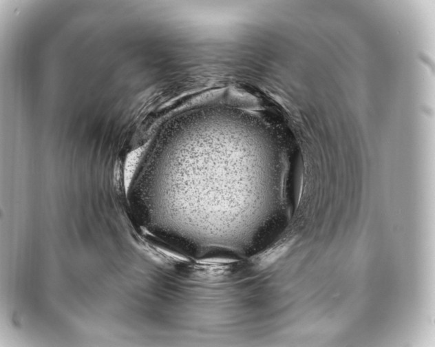 X0000094960288200712201207