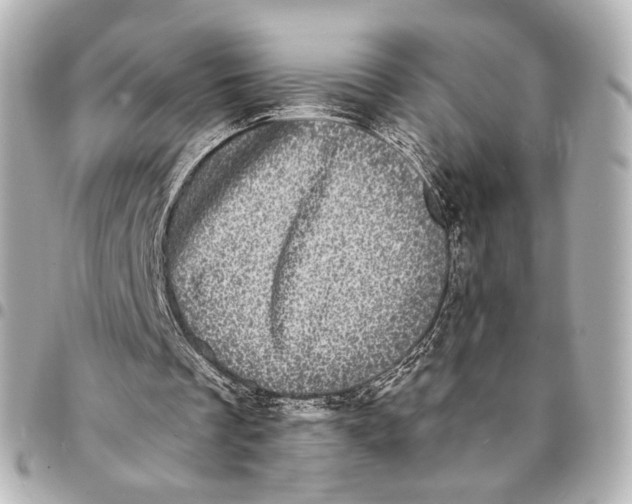 X0000094960289200712201206