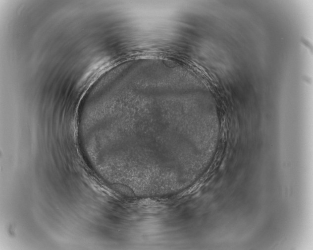 X0000094960290200712201206