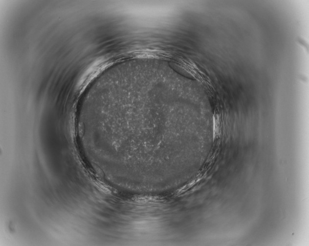 X0000094960291200712201206