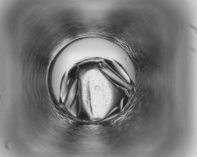 X0000094960292200712201206