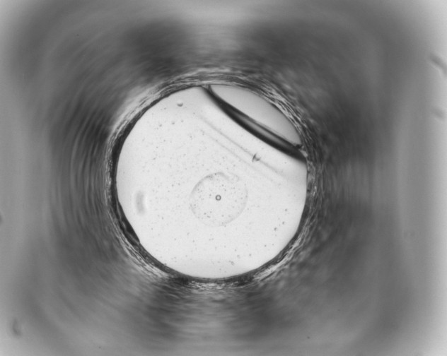 X0000094960293200712201206