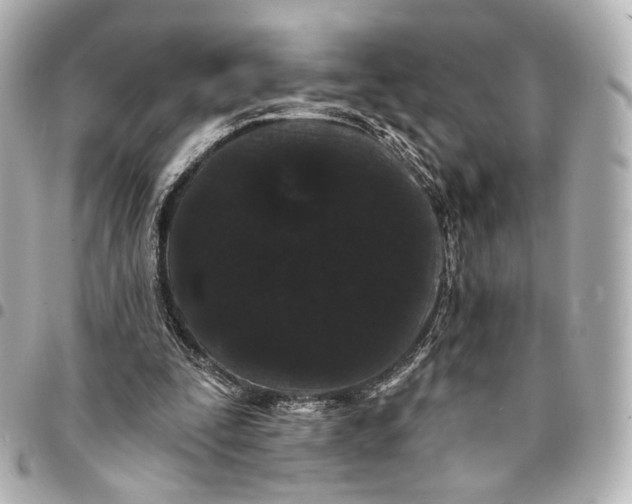 X0000094960295200712201206