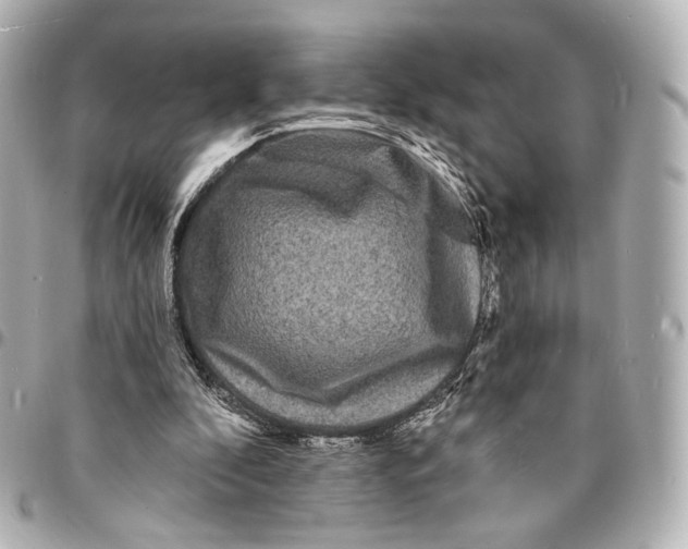 X0000094960296200712201206