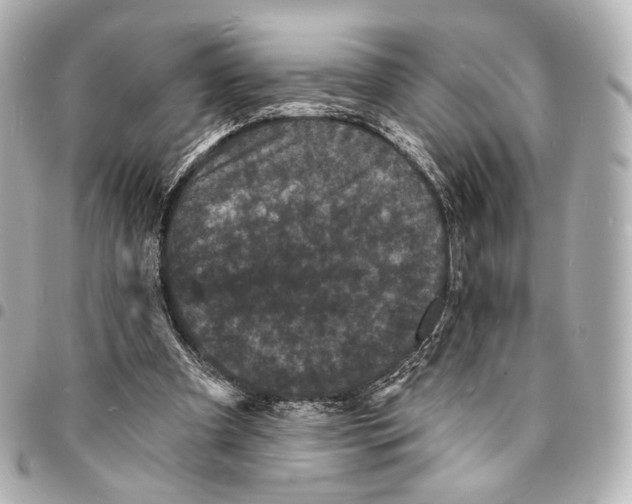 X0000094960297200712201206