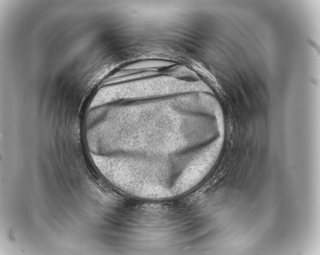 X0000094960298200712201206